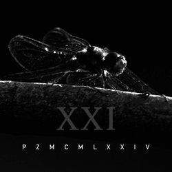 pzmcmlxxiv - XXI collection image