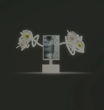 Framed Trophy_#008