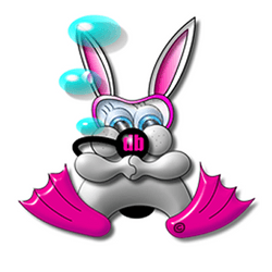 The DiveBunnie Fluffle collection image
