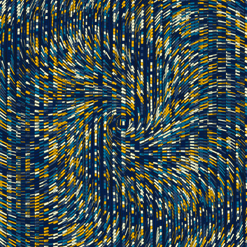 Swift 12