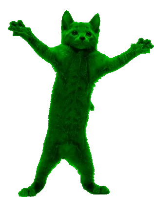 MiaowMiaowCat