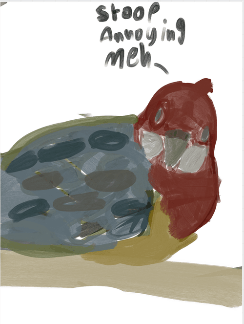 The quiet bird