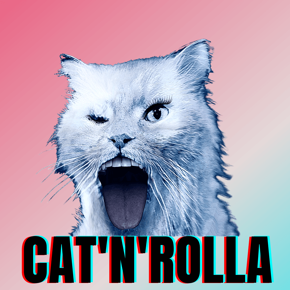 #bluecatmax #20 cat'n'rolla