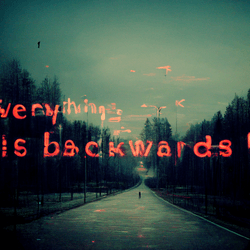 everything is backwards by tricil collection image