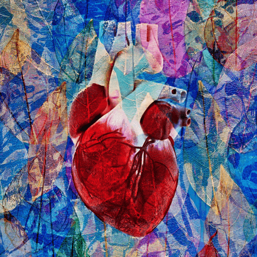 Abstract heart - variation #6