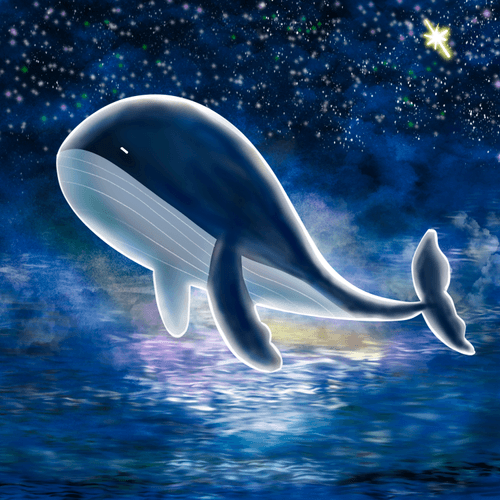 Whales in the Night Sky #Pado 아홉