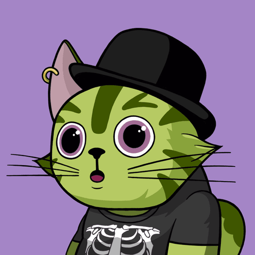 Michi Cat #0384