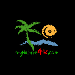 NFT Nature Photography collection image