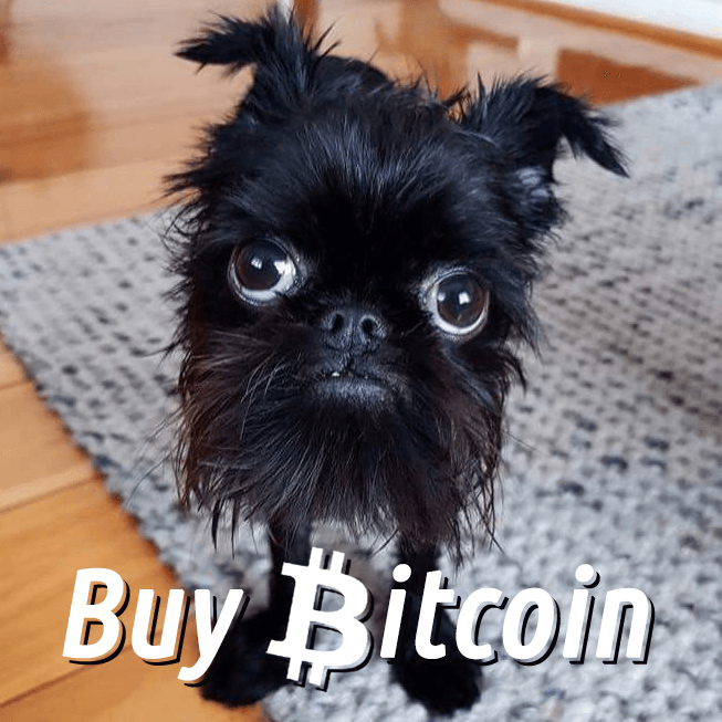 Buy Bitcon Dog