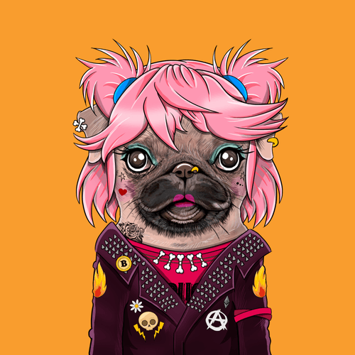 Pug #0170