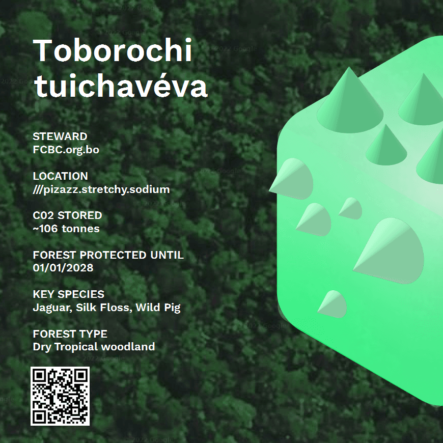 Toborochi tuichavéva (Nature Token 29)