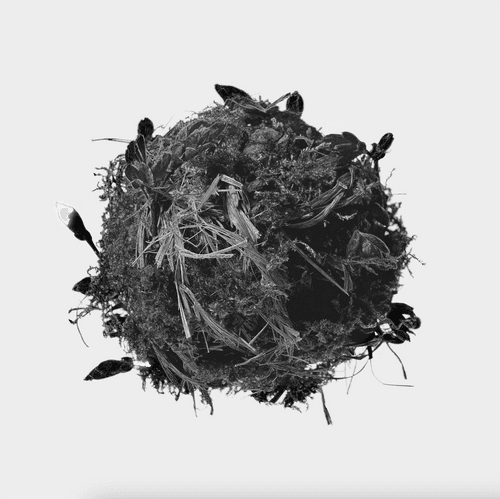 ETHER Open Edition by On Thin Ice