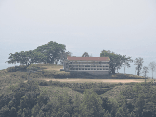 A school on a hill