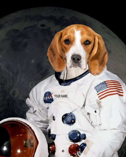 Space Doggo Adventures