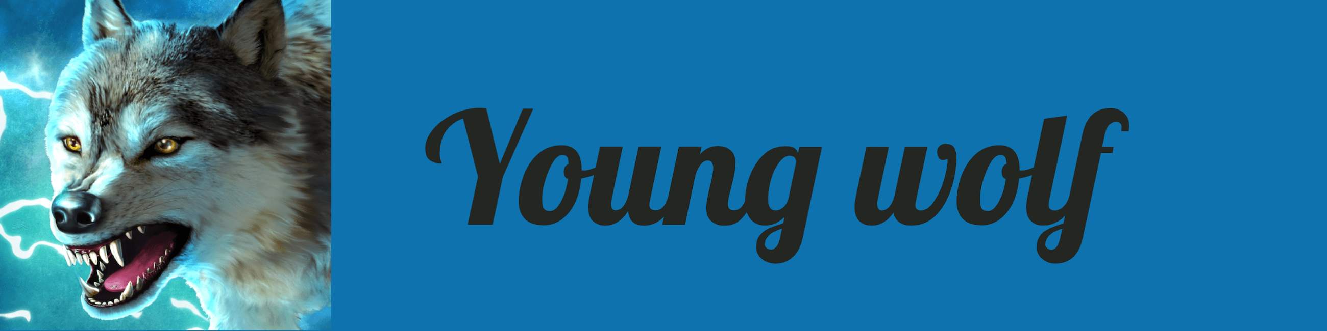 Theyoungwolf22 banner