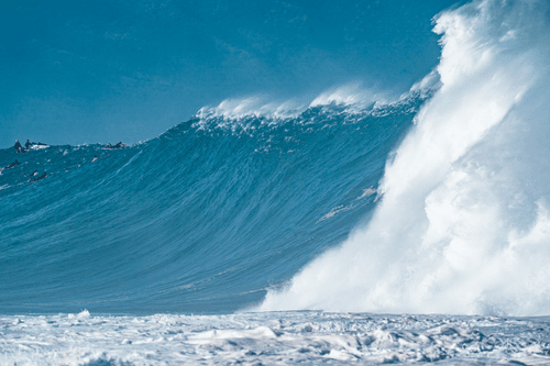 Waimea Bay XXXL