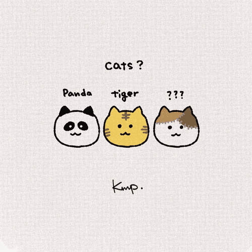cat?
