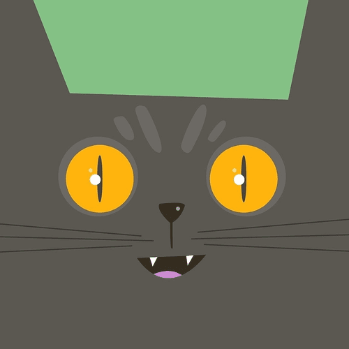 rollyrocket the cat