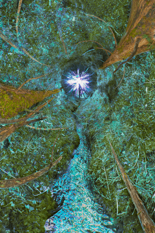 Stereographical