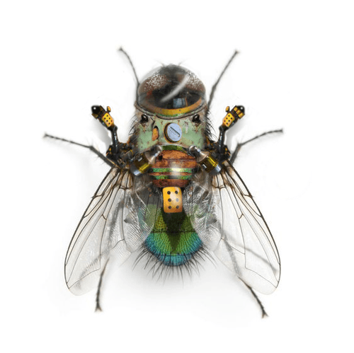 Mechanical Fly