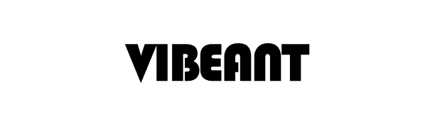 VIBEANT banner