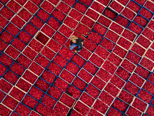 pepper worker