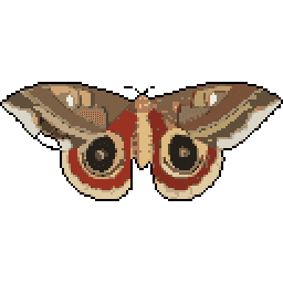 Janus Butterfly