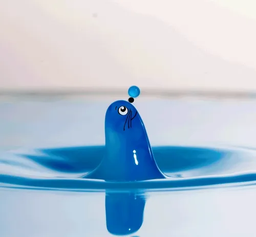 Little Blue Splash Art