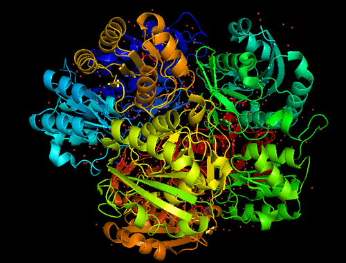 PythonProteins