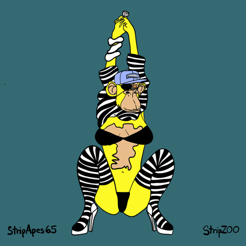 Strip Apes 65