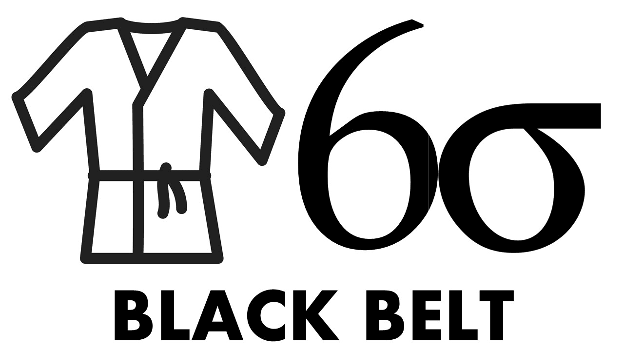 Six Sigma Black Belt Project Support