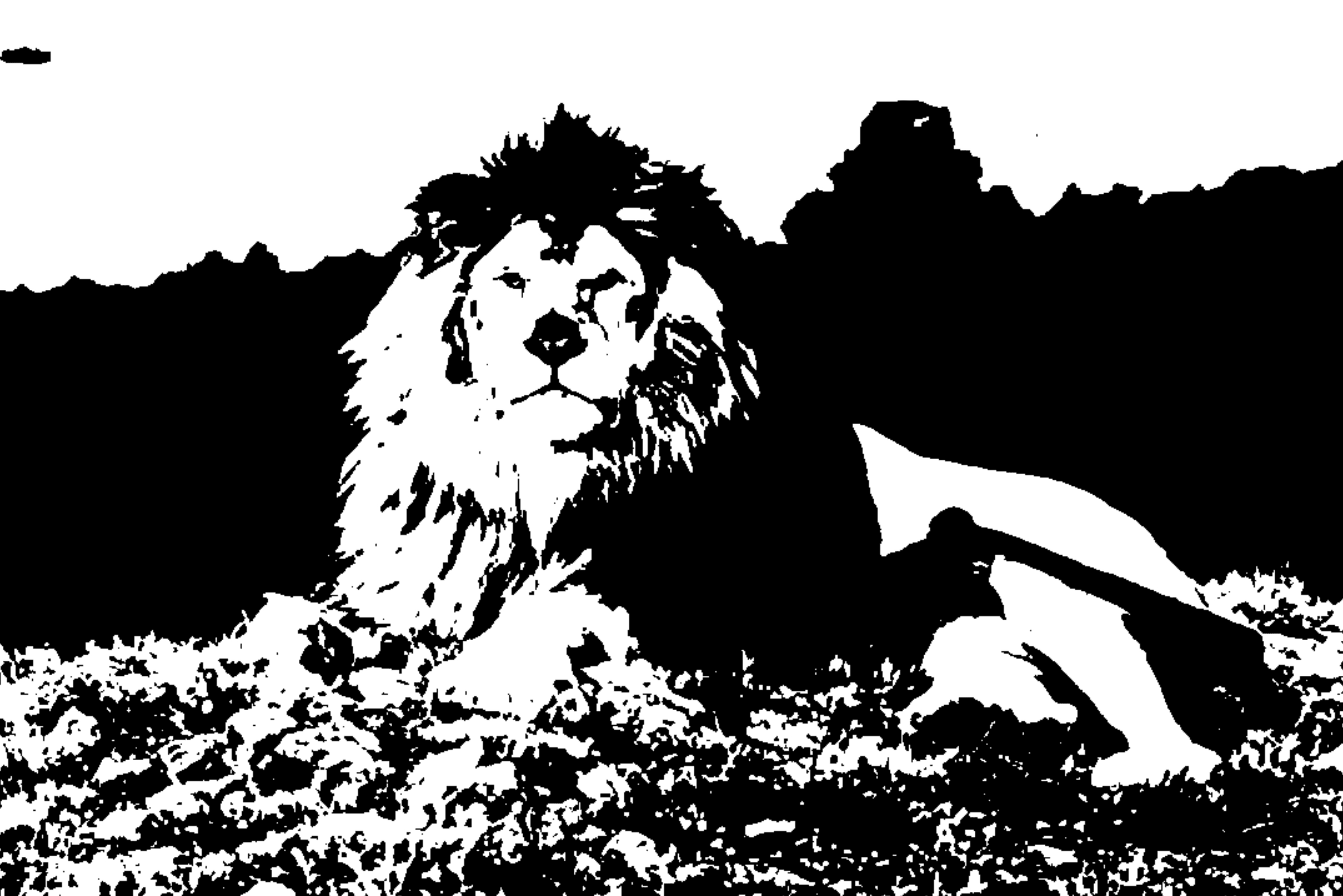 Black And White Wild Animals Of Africa - Collection | OpenSea