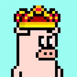 28PX PIG collection image