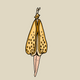 Moth Fairy PFPs