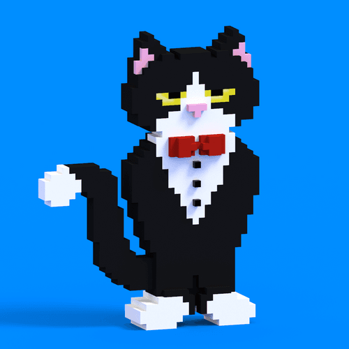 025 - The Tuxedo Cat