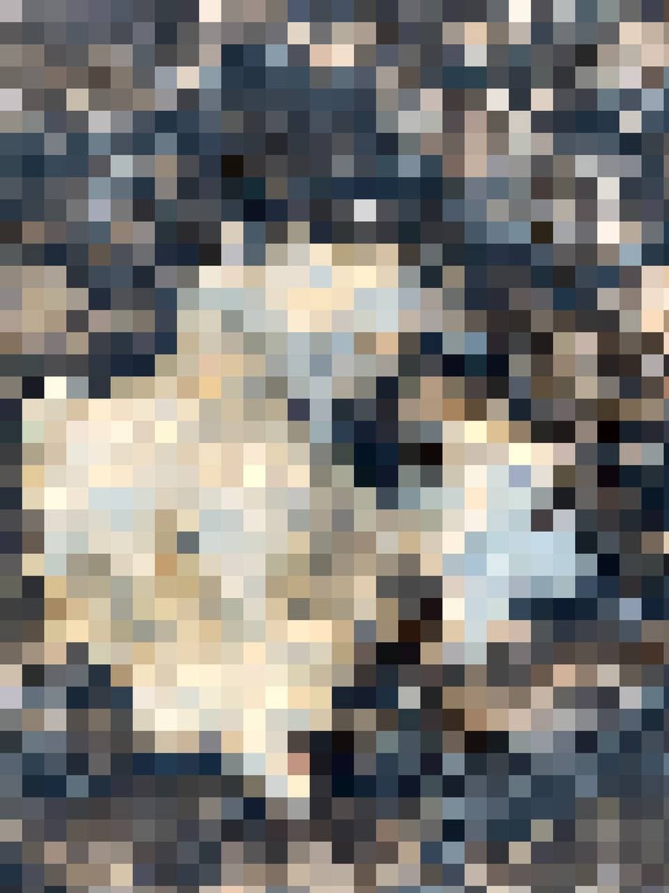 pixelated shit #140