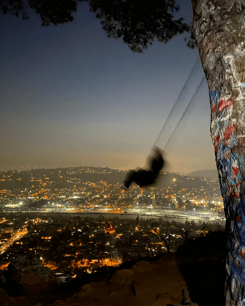 Night's Wing
