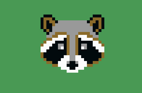 Chubby Raccoon