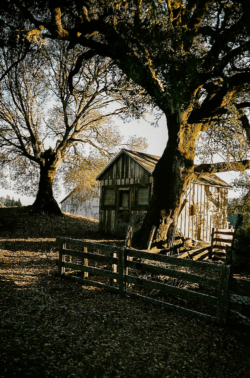Moments on Film #19