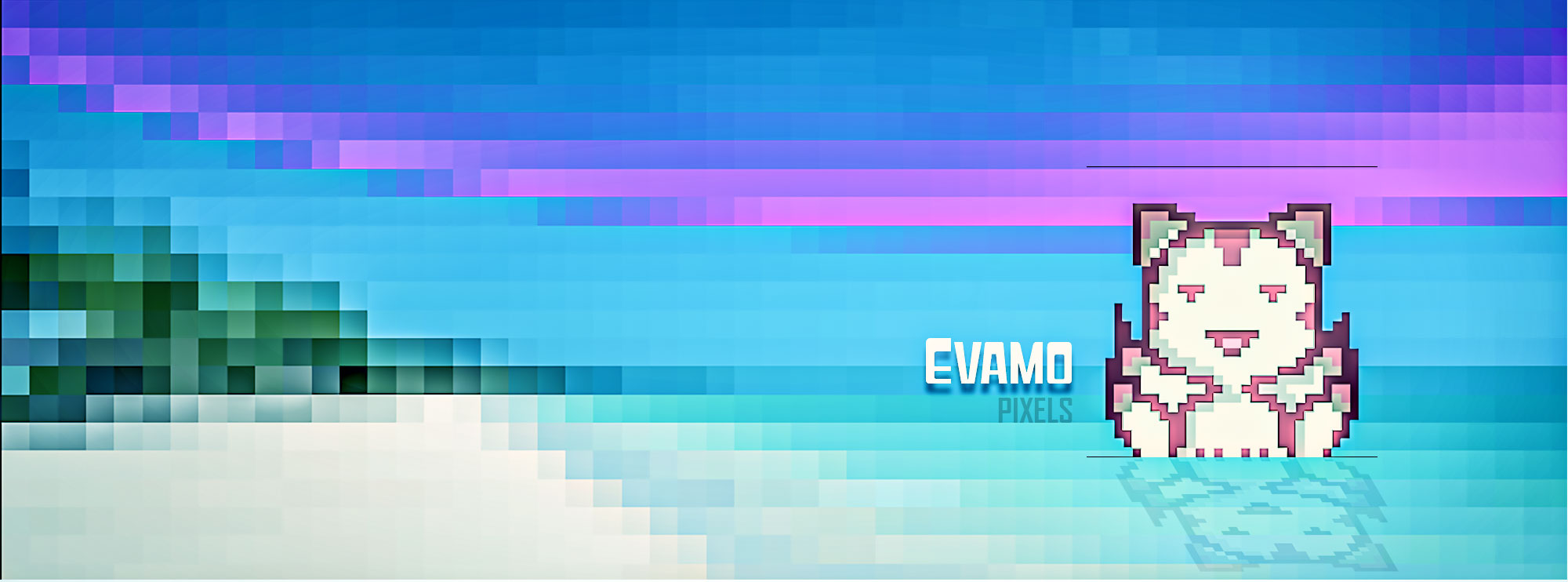 EVAMO banner