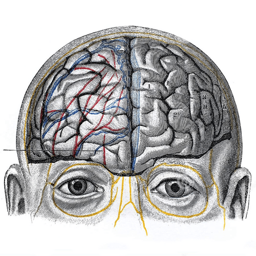 NeuralVision