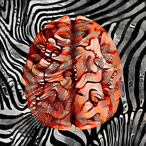 Zebra Brain