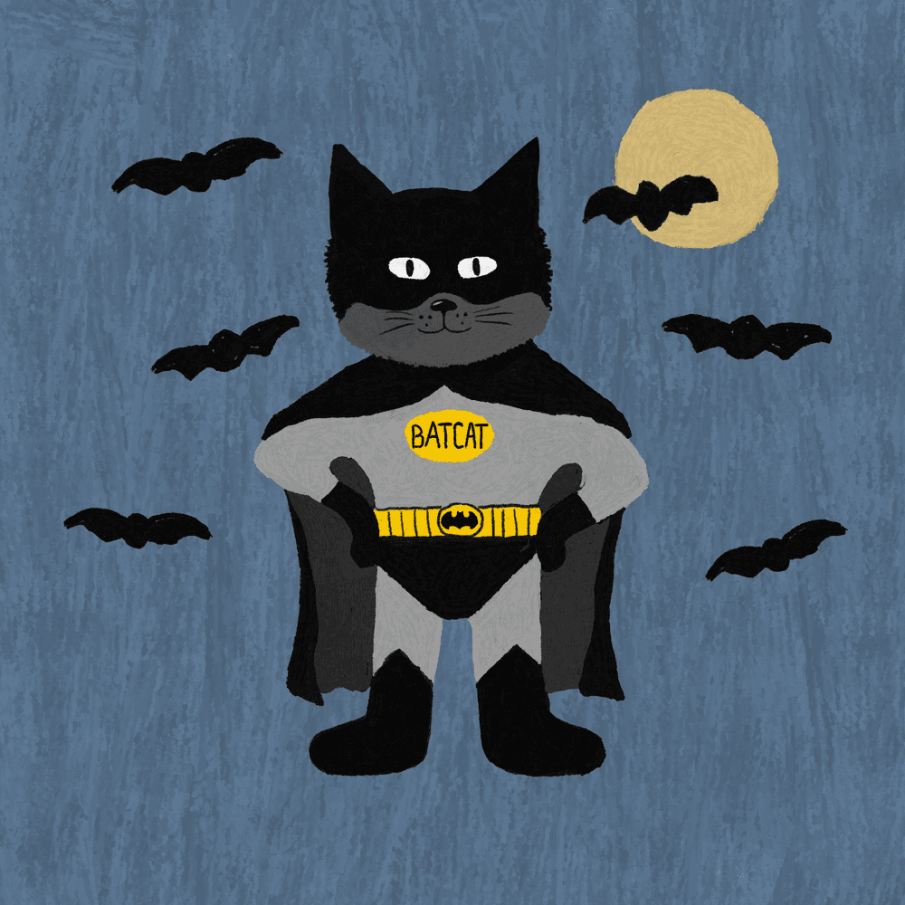 Batman costume cheap for cat