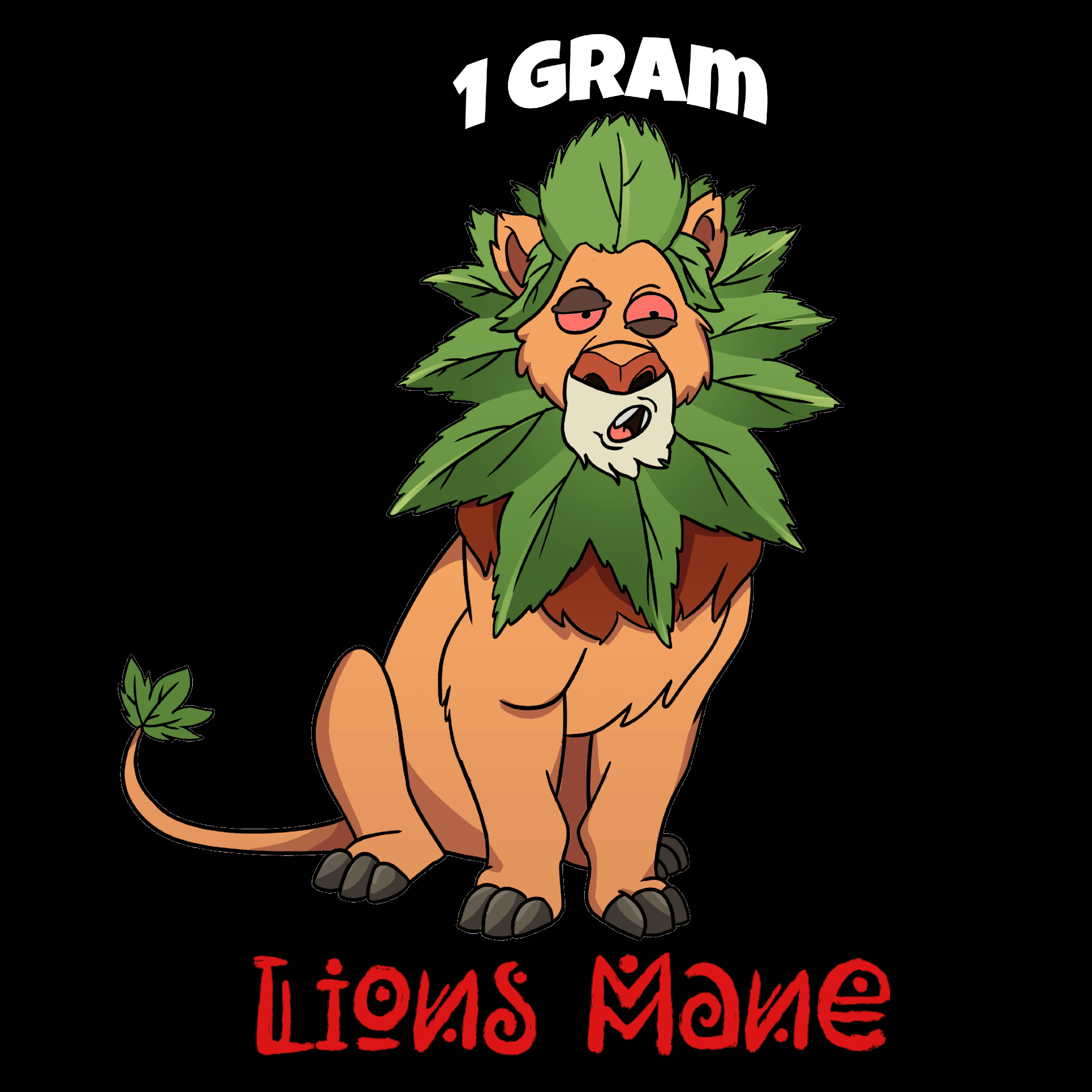 Lions Mane 1 Gram