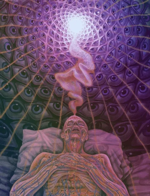 Terrance McKenna and Tryptamines 