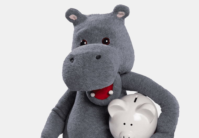 HIPPO NFT COIN Collection OpenSea