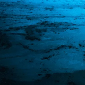 Hypnotizing Blue