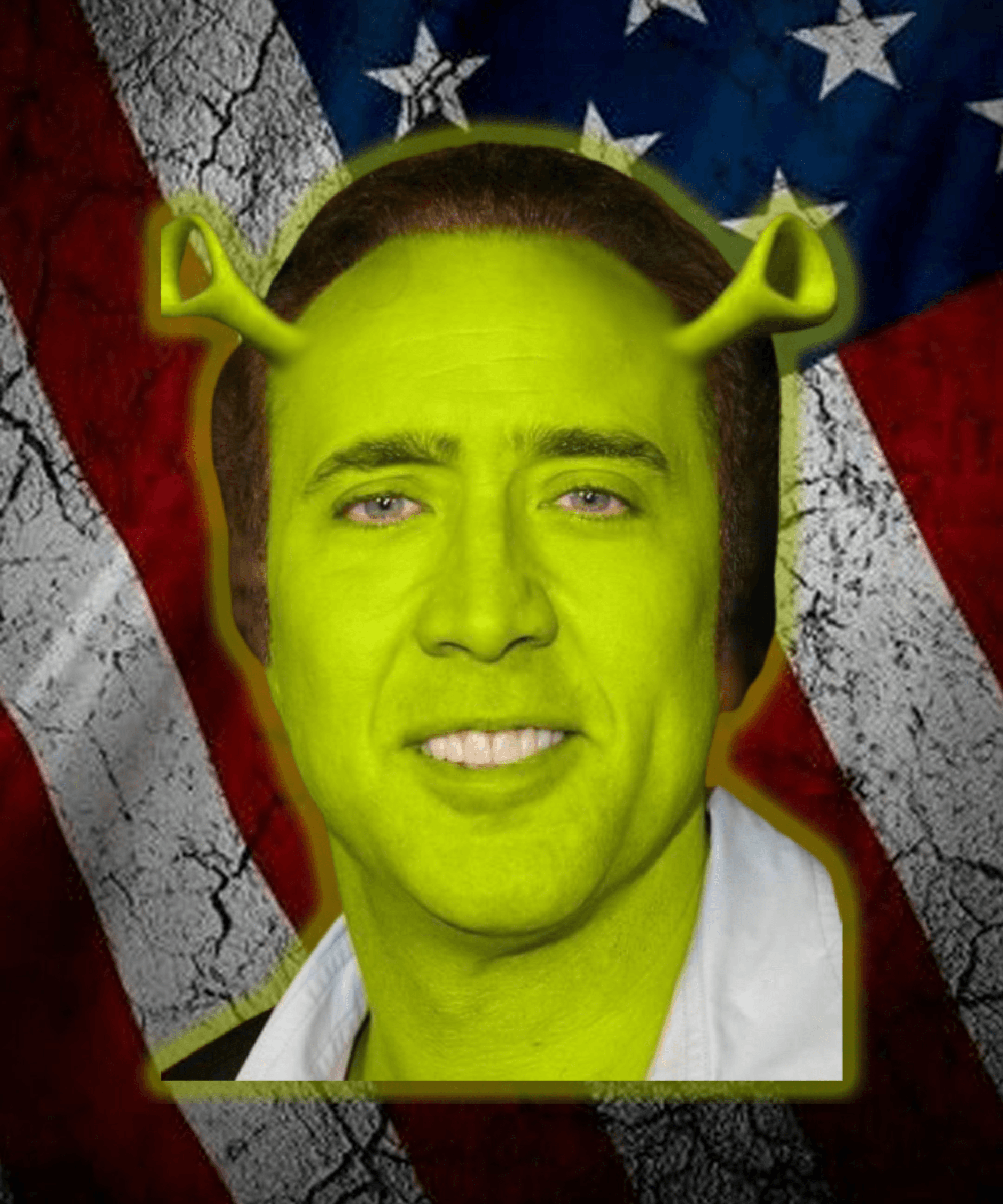 Nicolas Cage as Shrek - Crypto Art Meme - Nicholas Cage