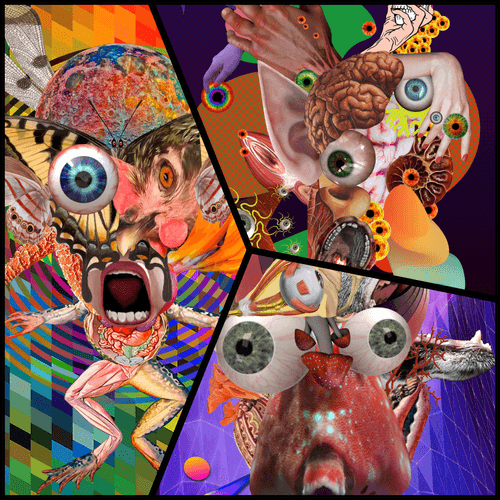 Art of Emotions Series