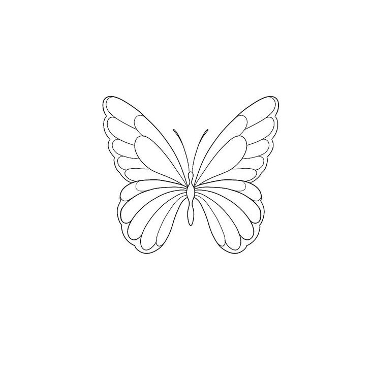 butterfly #17 - butterfly_lt | OpenSea